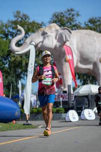 BIB: 
                            <button type="button" onclick="openModal(26544808)" class="btn btn-primary btn-sm float-right btn-popup" data-toggle="modal" data-target=".modal-high-quality">
                        <i class="fas fa-shopping-cart"></i> Add to Cart
                    </button>
                                            <button type="button" onclick="isThisMe(26544808, true)" class="btn btn-success btn-sm float-right btn-popup btn-isme hidden" data-toggle="tooltip" data-placement="bottom" title="นี่คือรูปของคุณใช่ไหม คลิกที่นี่เพื่อเอาเข้าอัลบั้ม">
                        <i class="fas fa-plus"></i> Add to album
                    </button>
                    <button type="button" onclick="isThisMe(26544808, false)" class="btn btn-warning btn-sm float-right btn-popup btn-isnotme hidden">
                        <i class="fas fa-ban"></i> Remove from album
                    </button>